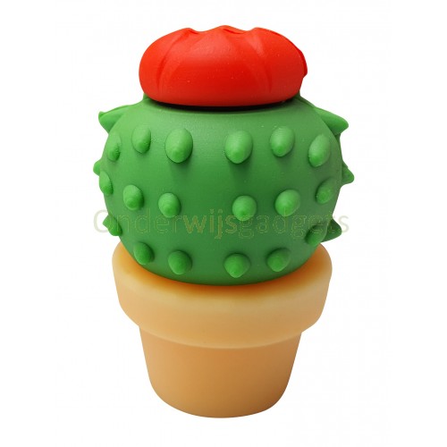 USB-stick Cactus 8GB