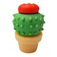 USB-stick Cactus 16GB