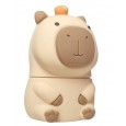 Capibara Usb Stick 16 GB - Origineel Capybara Verjaardag Cadeau Idee Meisje of Jongen